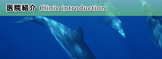 医院紹介