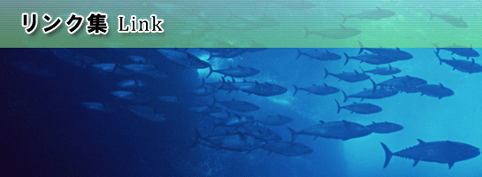 リンク集